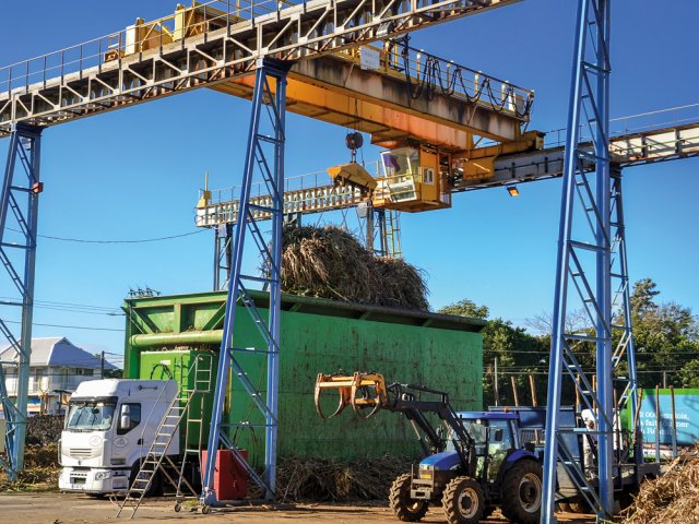 Travail de coupe de canne à La Réunion